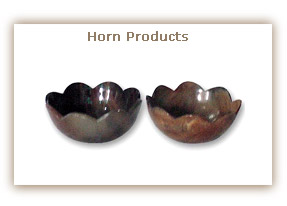 Horn Products