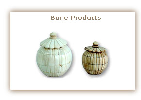 Bone Products
